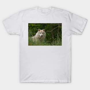 Arctic Wolf T-Shirt